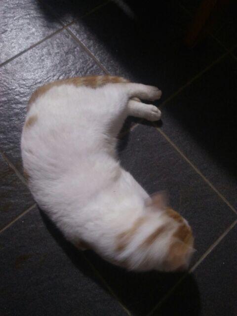 Lakban Nachi Tebal Warna Cokelat