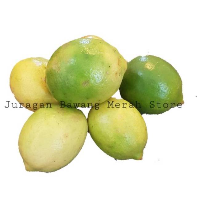 

Jeruk lemon lokal murah