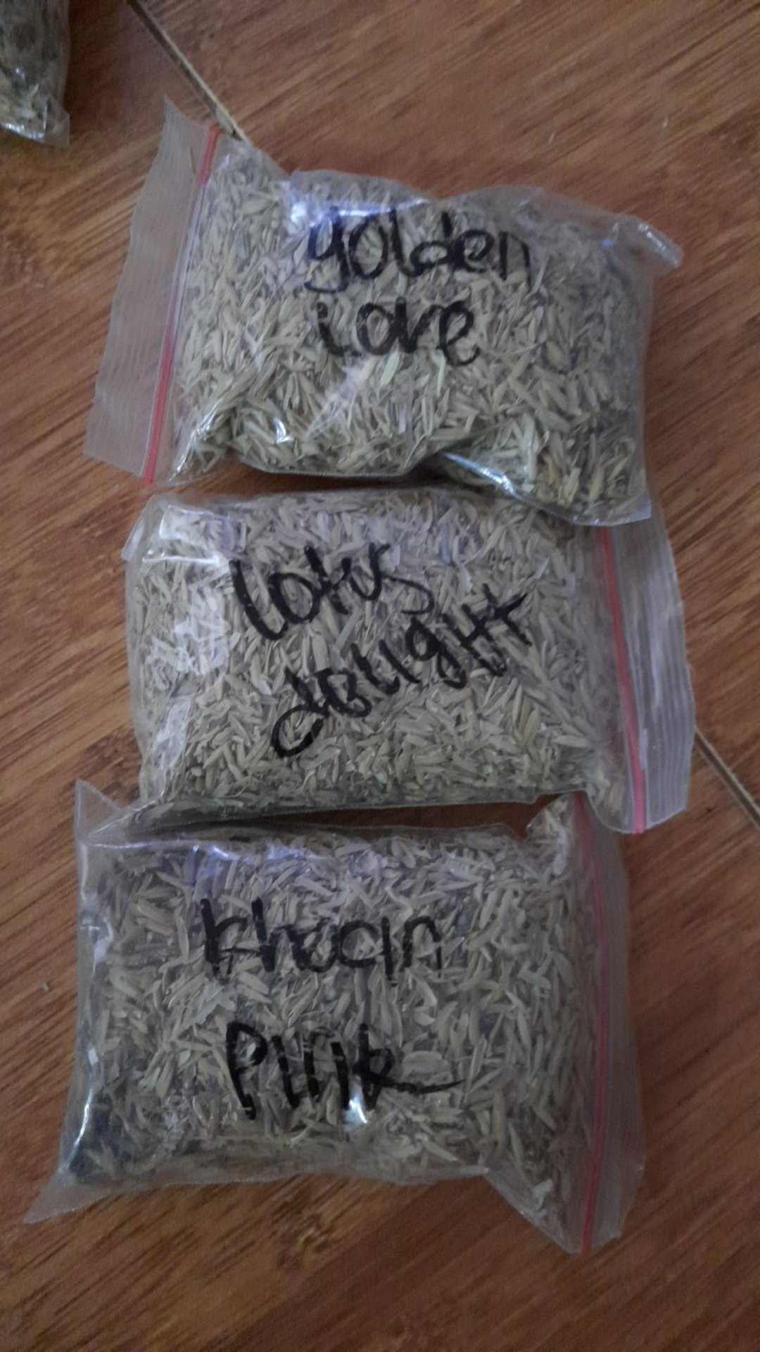 Promo 3 Paket Bonggol Aglonema.  ,golden Love,lotus Delight,khocin Pink