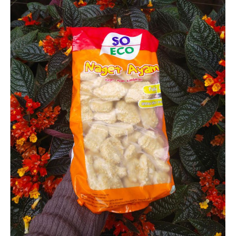 

nugetsoeco