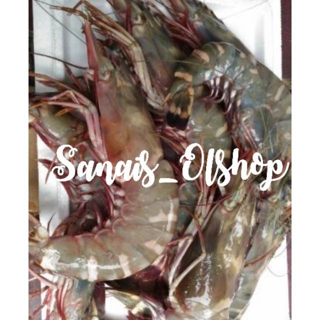 

Tiger shrimp Size 6-7 ekor per Kg