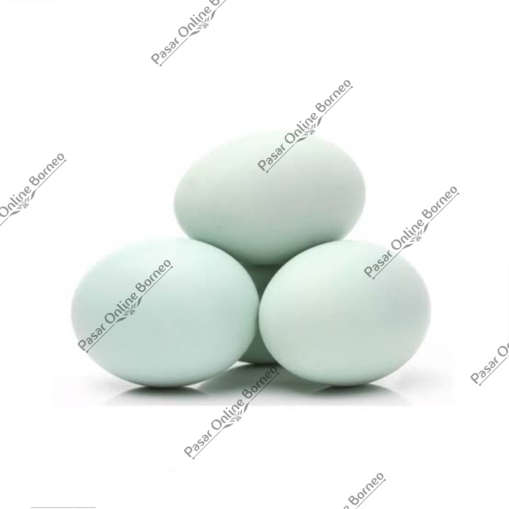 

Telur Bebek Per Biji