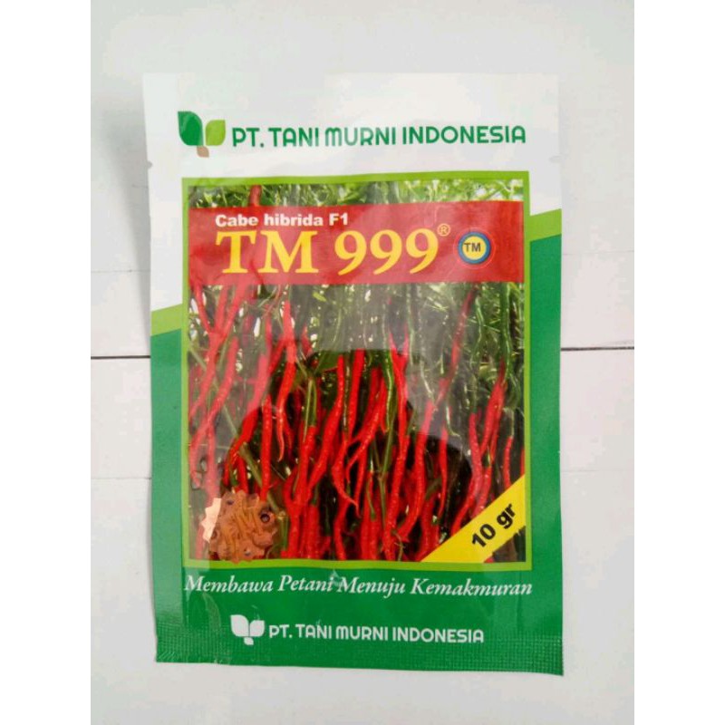 Benih cabe TM 999