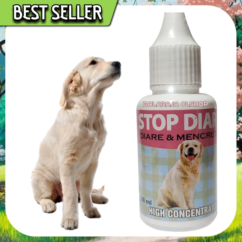 OBAT DIARE ANJING PUPPY SAKIT PENCERNAAN MENCRET - STOP DIAR DOG 30ML