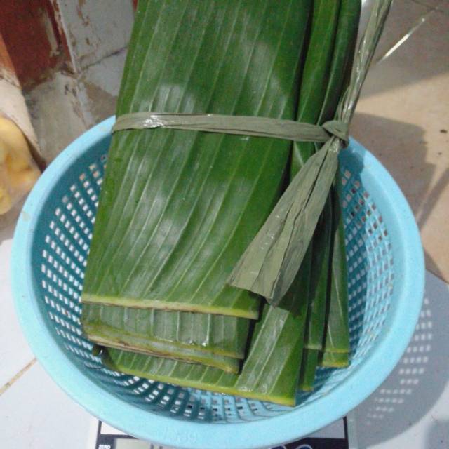 

Daun pisang batu