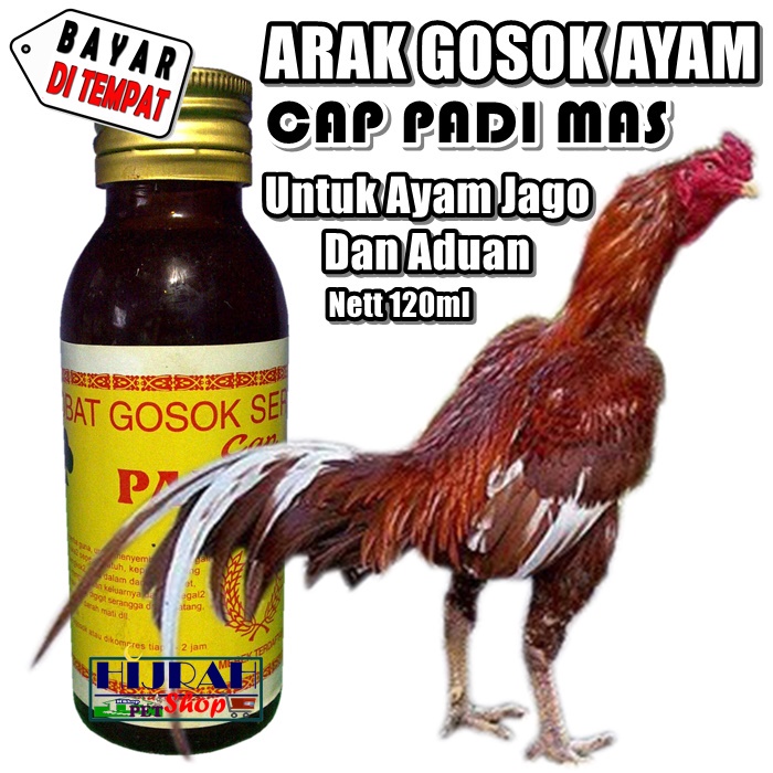 Obat Ayam Arak Gosok Ayam Arak Ayam Jago ARAK GOSOK CAP PADI MAS - Kemasan 100ml - Hijrah Pet Shop