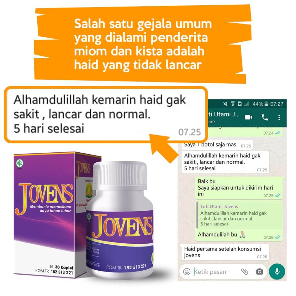Jovens | Obat miom dan kista | Jamur Dewa | Agaric | Herbal alami