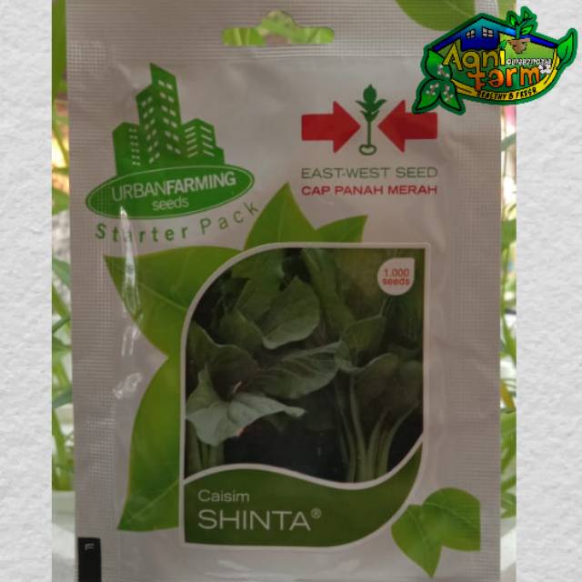 Benih Bibit Caisim Shinta - Cap Panah Merah Urban Farming