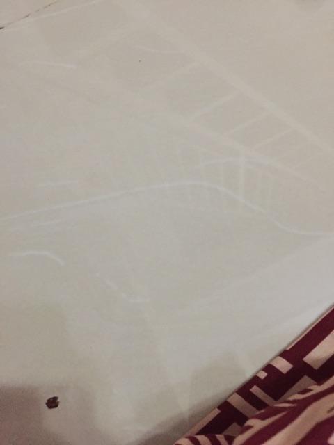 Dahlia Kamper Color Ball [k-27]