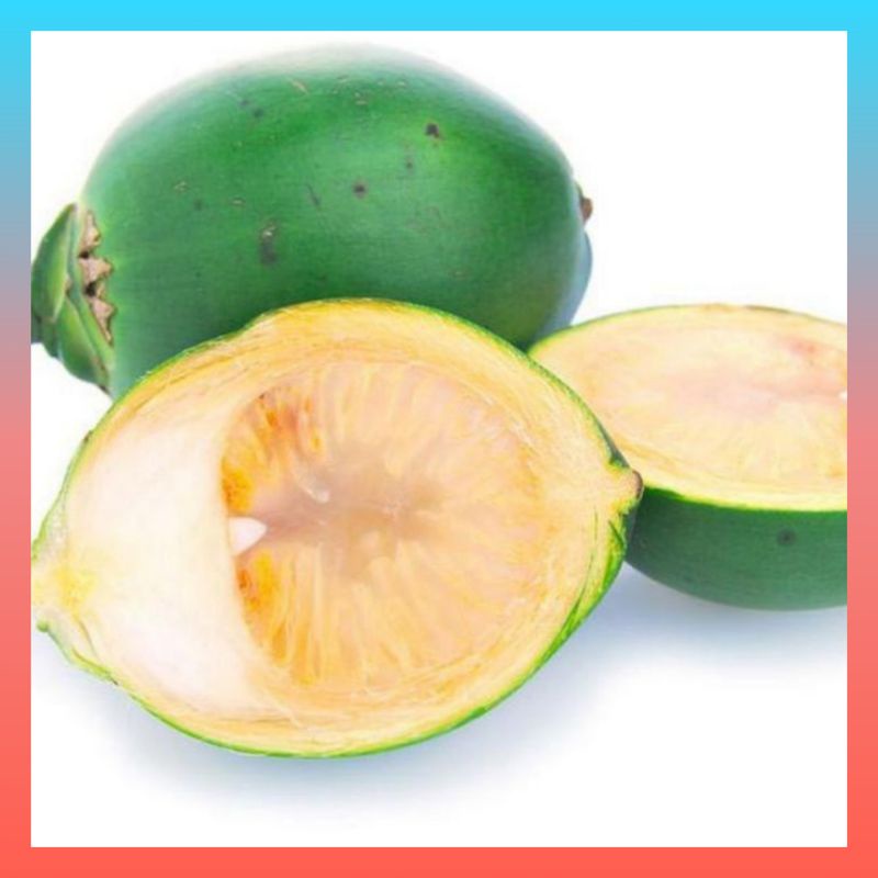 

Buah pinang muda