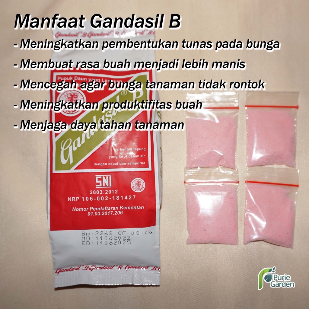 Pupuk Gandasil B Buah NPK Majemuk Fase Generatif Pembungaan Pembuahan PG KDR