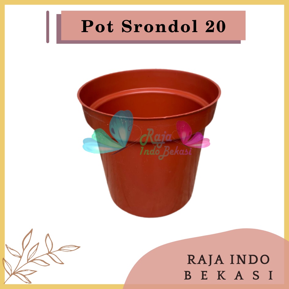 Pot Tinggi Srondol 20 Merah BataTerracota Terracotta Merah Coklat - Pot Tinggi Usa Eiffel Effiel 18 20 25 Lusinan Pot Tinggi Tirus 15 18 20 30 35 40 50 Cm Paket murah isi 1 lusin pot bunga plastik lusinan pot tanaman Pot Bibit Besar Mini Kecil Pot Srondol