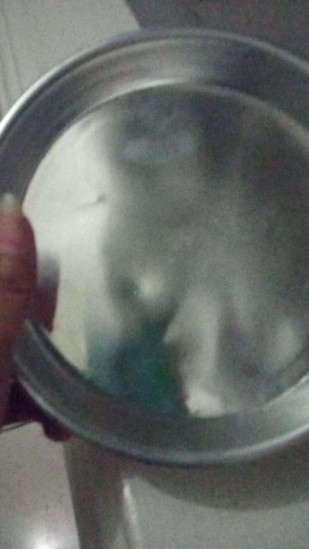 Loyang Pizza Mini/bolu Gulung/pie Bali