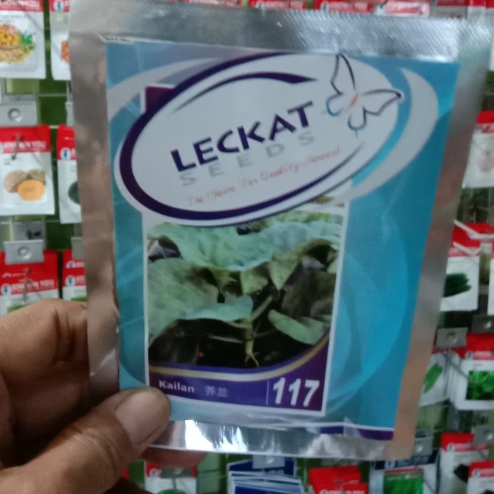 

Jual Benih Kailan 20 gr Murah