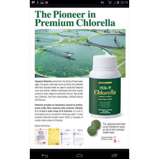 300TABLET Sun Chlorella JAPAN YAEYAMA IMPOR  100% ASLI