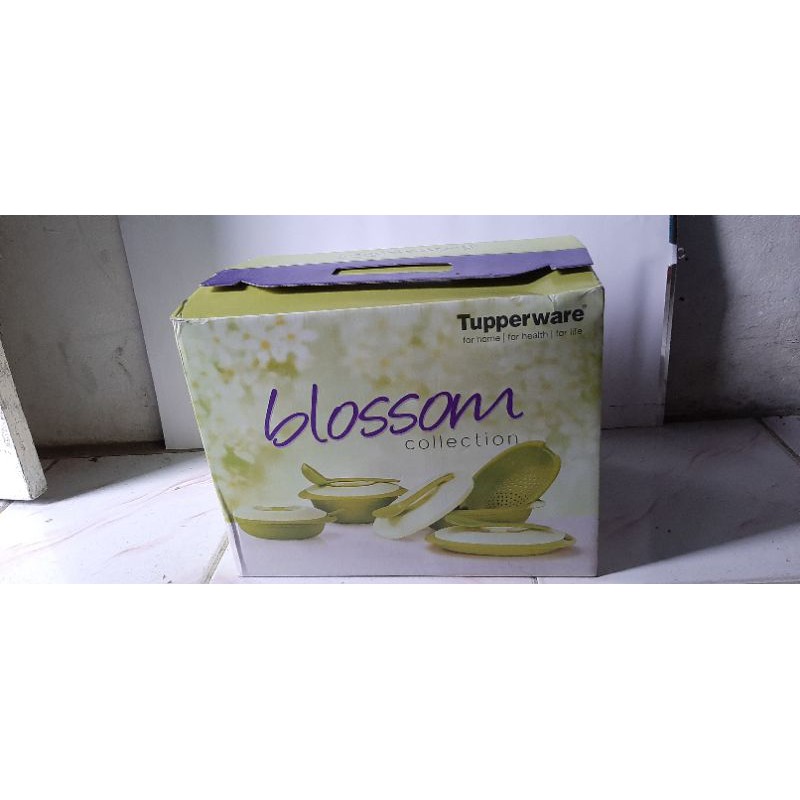 tupperware blossom collection / wadah saji tupperware