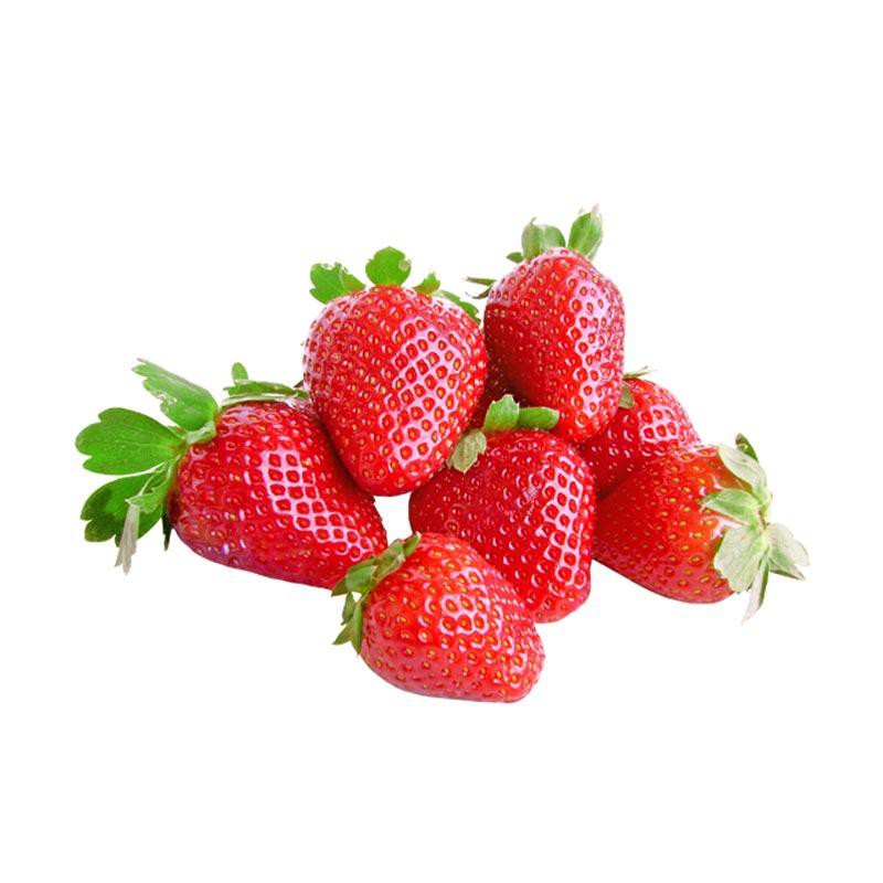 Strawberry / Stroberi - Tanaman Buah