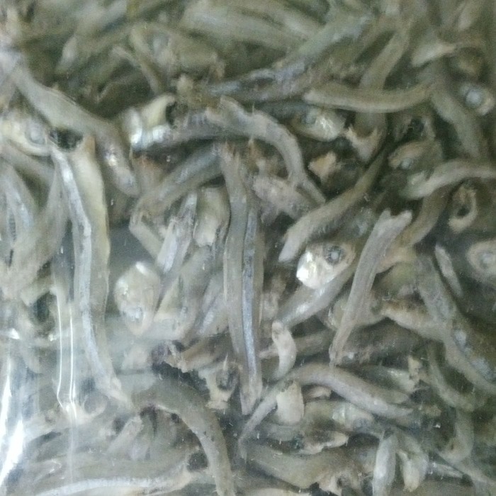 

Teri Jengki Tawar Super