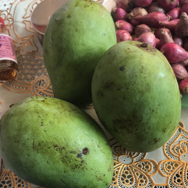 

Mangga segar