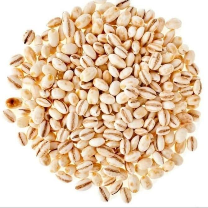 

Jali - Jali / Pearl Barley Import Dari Holland Kemasan 25 Kg