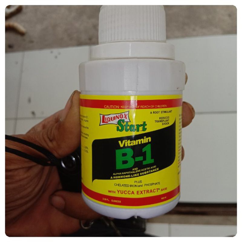 Star Vitamin B-1 perangsang akar tanaman