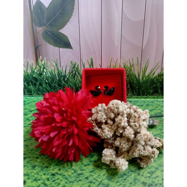 anting titanium angsa hitam