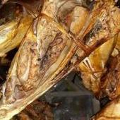 

Kepala ikan Manyung