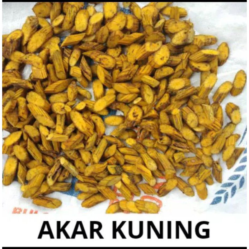 

bajakah akar kuning asli Kalimantan 1 kg