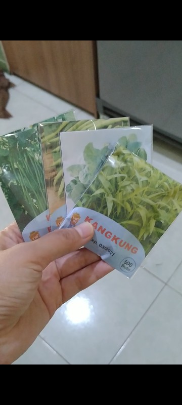 Benih Biji Bibit Buncis Tidak Merambat