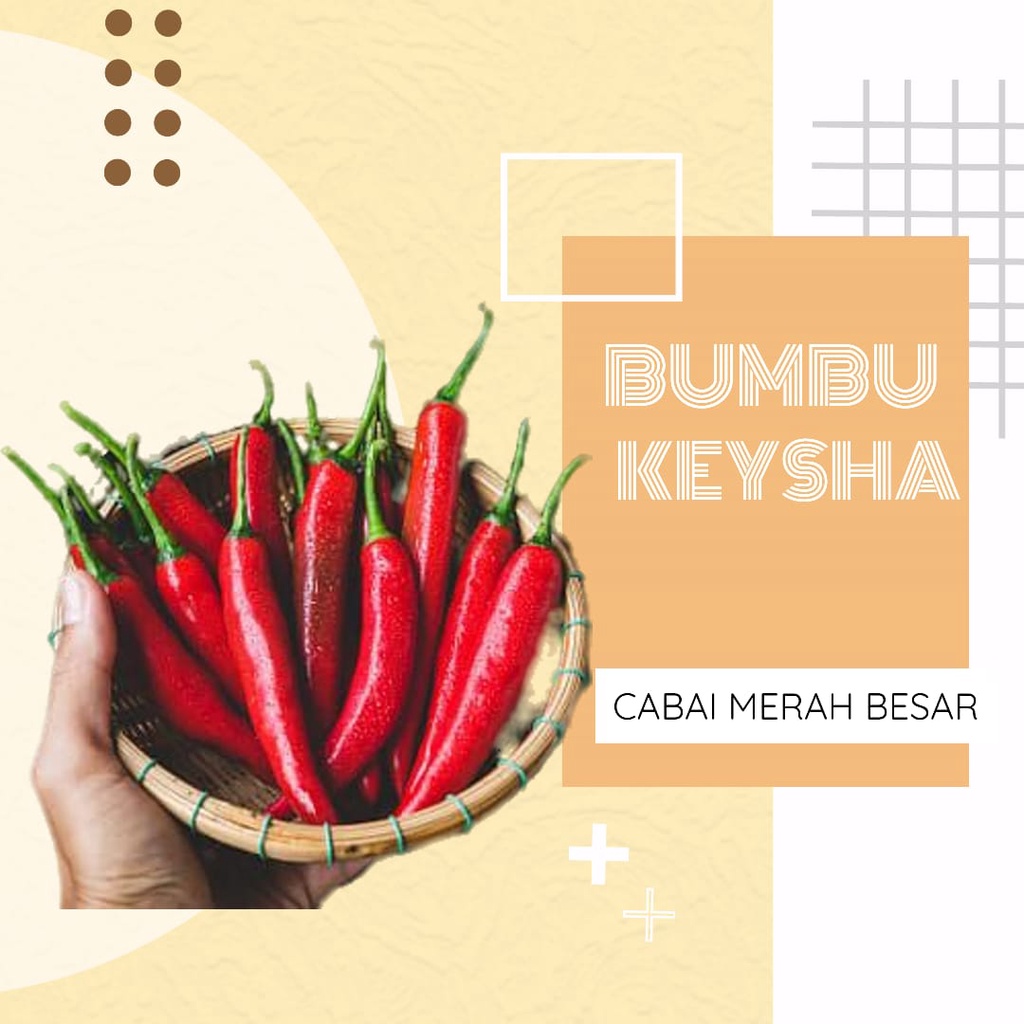 

Cabai Merah Besar / Cabai TW