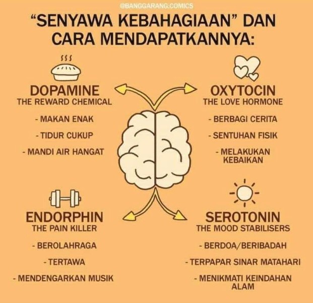 Cetakan Kue Serabi  Apem Lumpur Dorayaki 4 Lubang Cekung