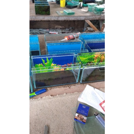 aquarium 30x15x15 background