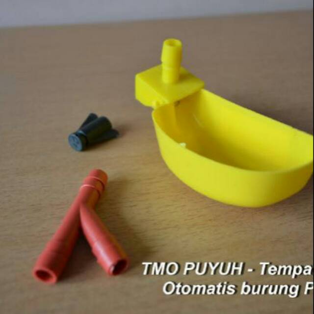 

TMO puyuh