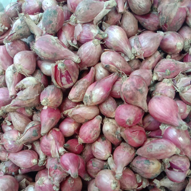 

Bawangmerah bawang putih