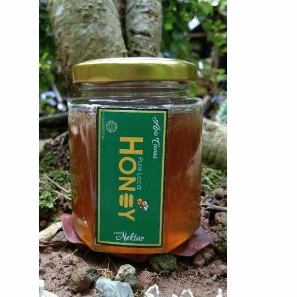 

MADU MURNI APIS CERANA 200g