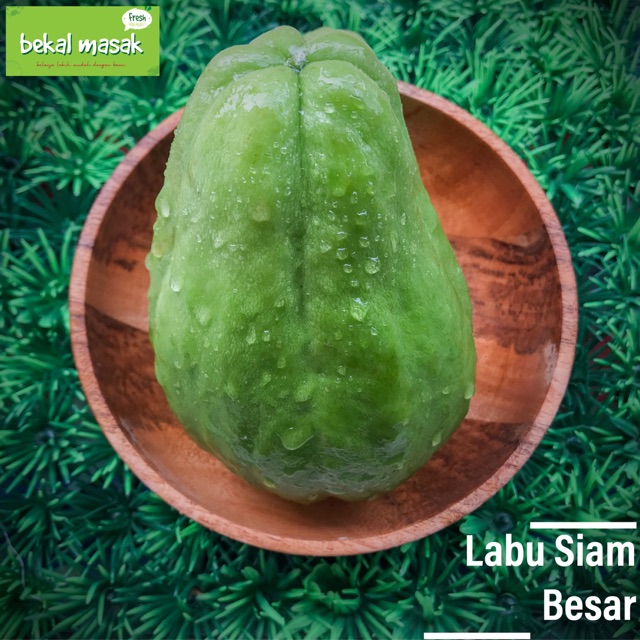 

Labu Siam Besar Sayur