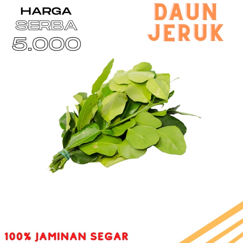 

Daun jeruk segar