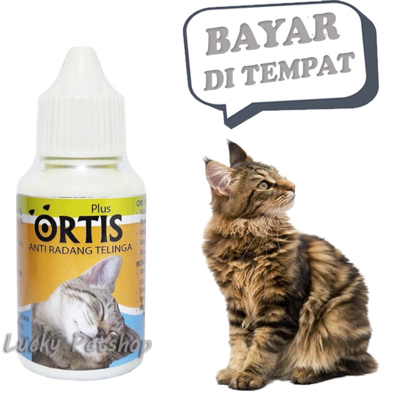 OBAT TETES TELINGA KUCING RADANG INFEKSI ORTIS CAT