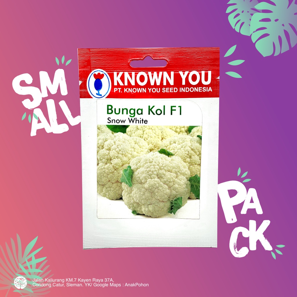 (1 PACK) Benih Bunga Kol F1 Snow White - Known You Seed KYS - 140 SEEDS