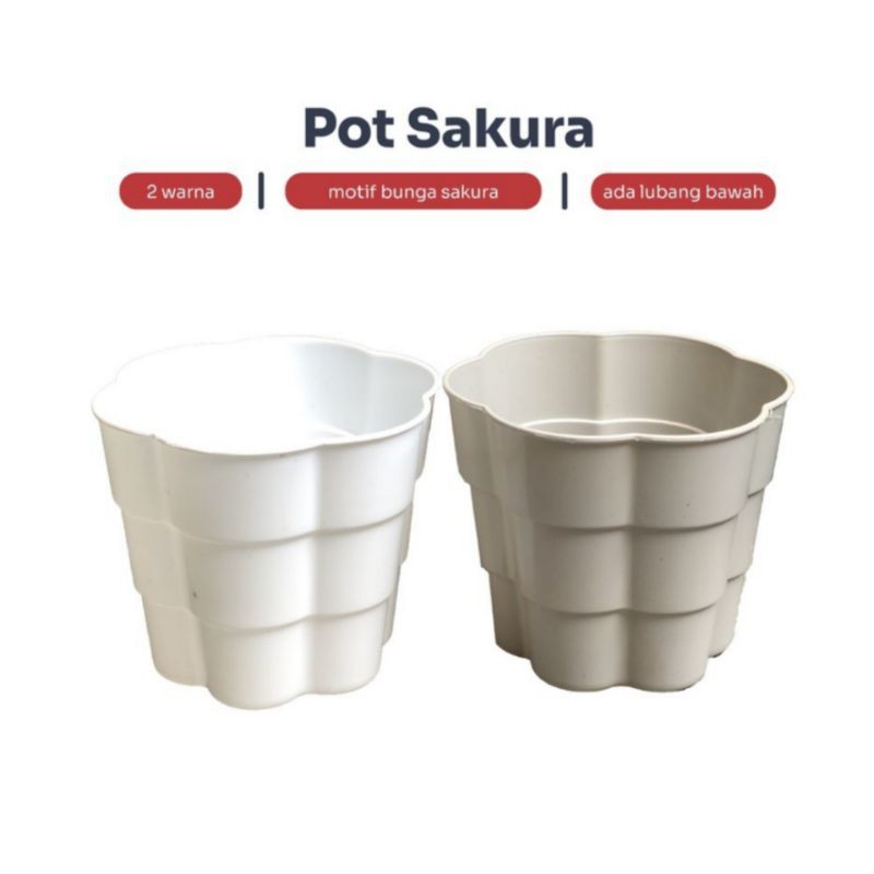 POT BUNGA SAKURA 20CM TAMAN - TANAMAN HIAS