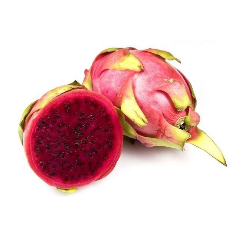 

BUAH NAGA MERAH - BUAH NAGA SEGAR - BUAH FRESH BERKUALITAS