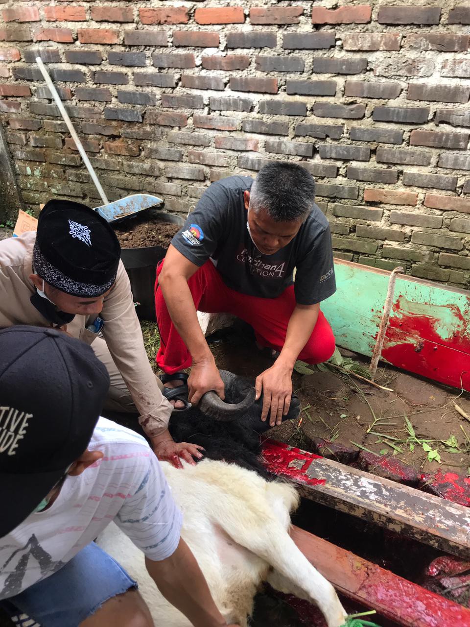 Sabun Pembersih Lantai Attar 5 Liter / Cairan Pel / Floor Cleaner / Sabun Lantai 5 Liter