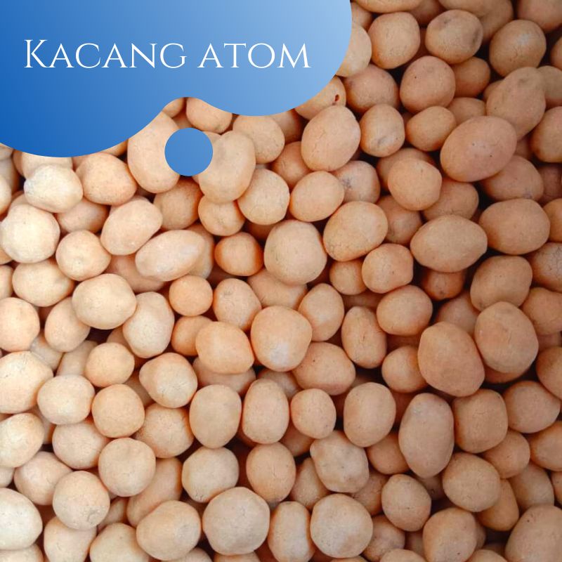 

Kacang atom 500gr / kacang telur oven / kacang atom gurih renyah enak