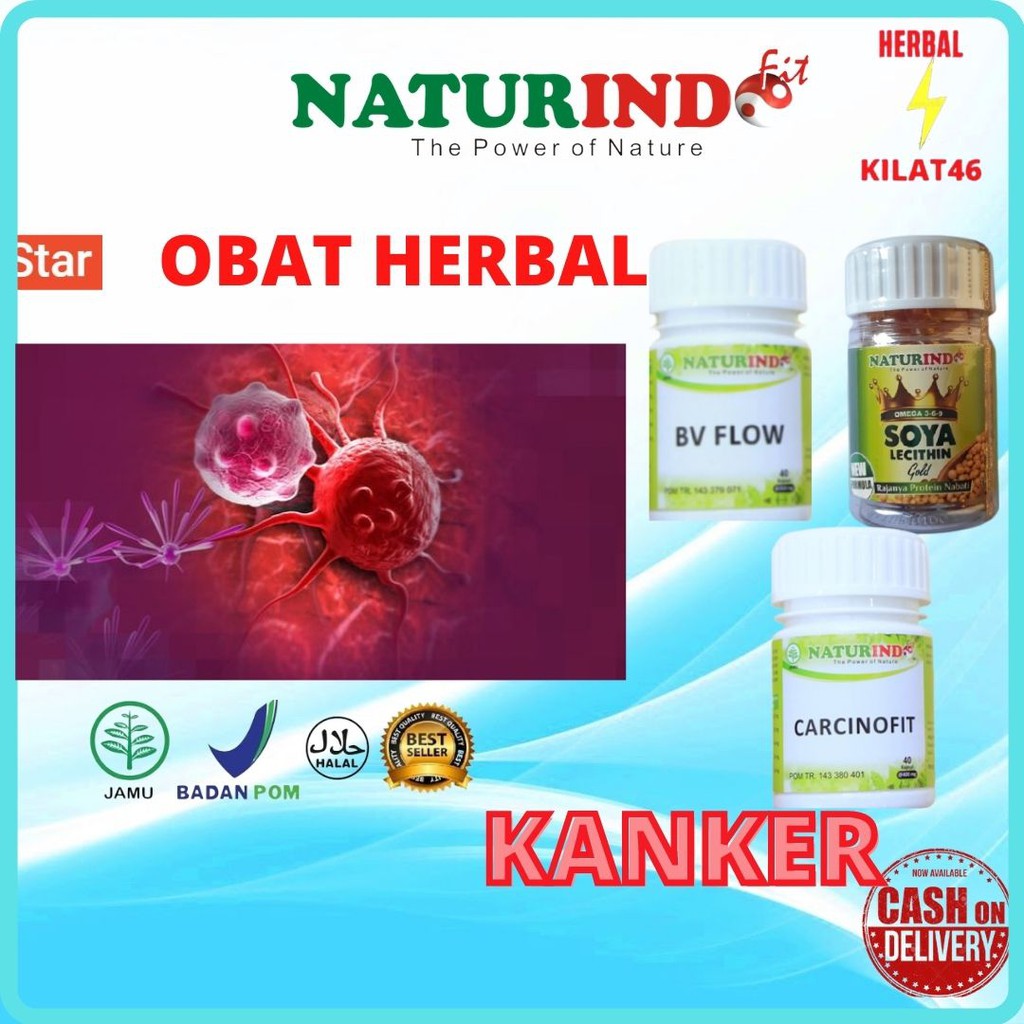 

OBAT HERBAL TUMOR BENGKAK ALAMI AMAN TANPA EFEK SAMPING SOLUSINYA PAKET SEHAT NATURINDO MANJUR