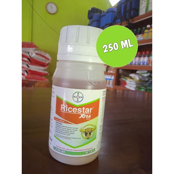 RICESTAR 250ML