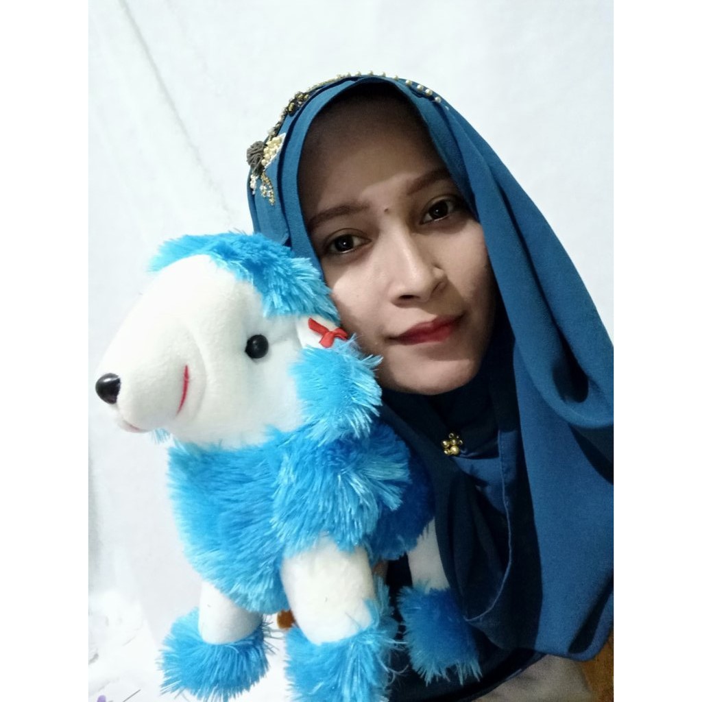 Boneka ANJING teresi tresi MURAH