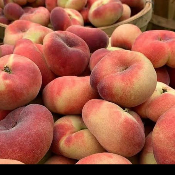 

Peach Donut Pack / Peach Manis 454 grm