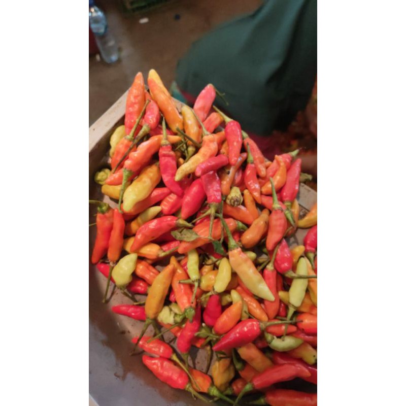 

Cumi Sambal Bawang Mewuahh HappySnack