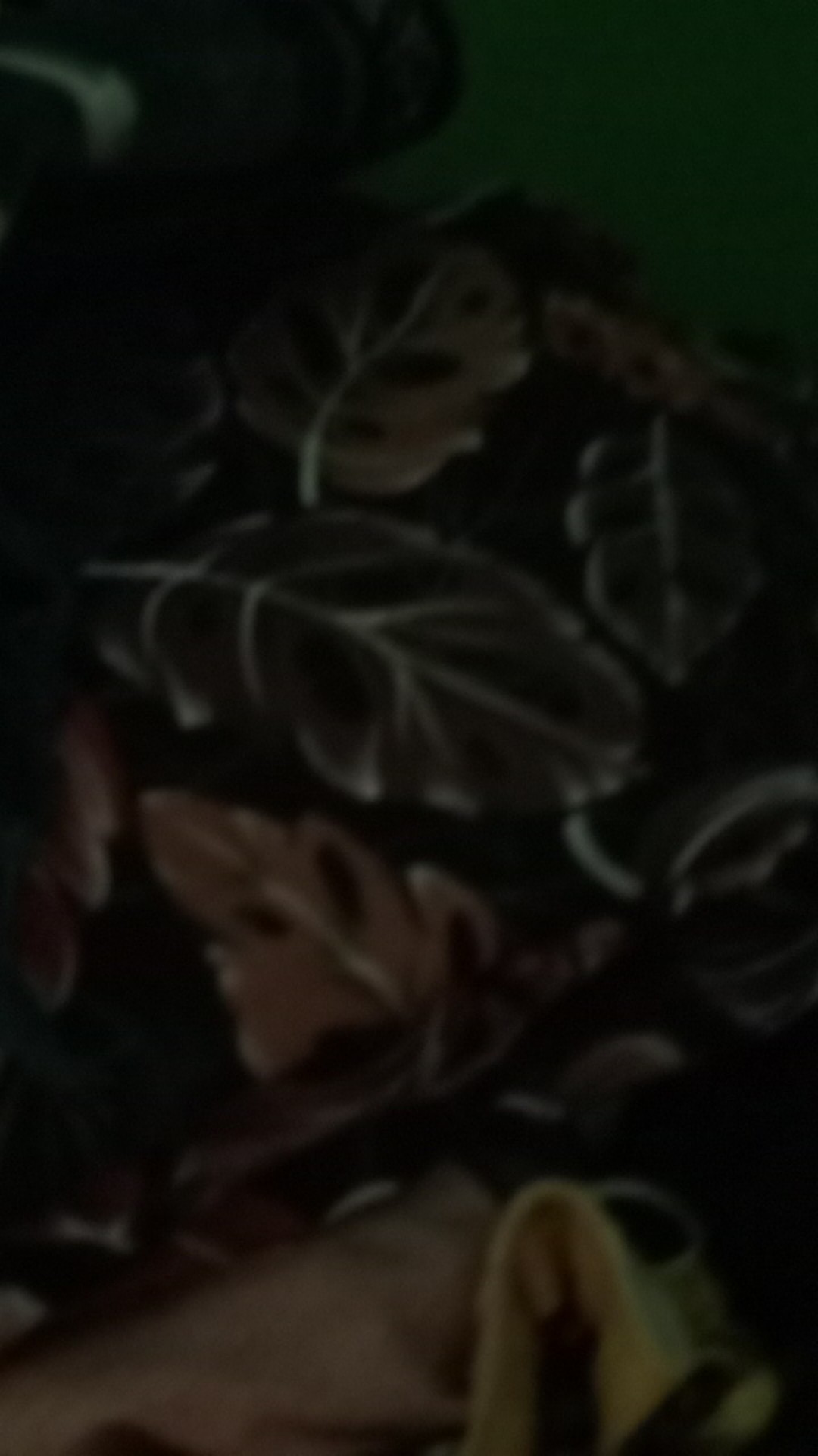 Sprei Brown Leaf Uk160 180 200