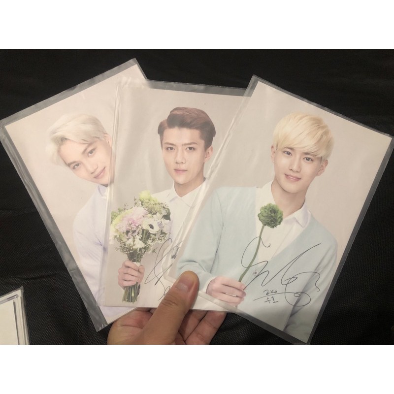 POSTCARD EXO SEHUN KAI SUHO NATURE REPUBLIC